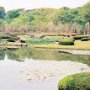 Tokyo, Japan - Imperial Palace Gardens